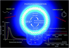 Graphical abstract: Onium salts improve the kinetics of photopolymerization of acrylate activated with visible light