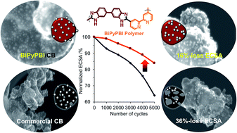 Graphical abstract: Poly[2,2′-(4,4′-bipyridine)-5,5′-bibenzimidazole] functionalization of carbon black for improving the oxidation stability and oxygen reduction reaction of fuel cells