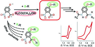 Graphical abstract: Solvent-induced selectivity of Williamson etherification in the pursuit of amides resistant against oxidative degradation