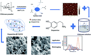 Graphical abstract: Luminescent chitosan/carbon dots as an effective nano-drug carrier for neurodegenerative diseases