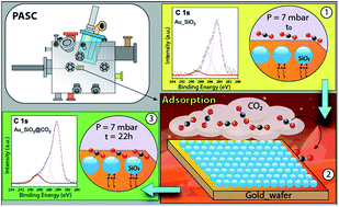 Graphical abstract: 2-D organization of silica nanoparticles on gold surfaces: CO2 marker detection and storage