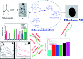 Graphical abstract: Poly(3-hydroxybutyrate)/poly(amine)-coated nickel oxide nanoparticles for norfloxacin delivery: antibacterial and cytotoxicity efficiency