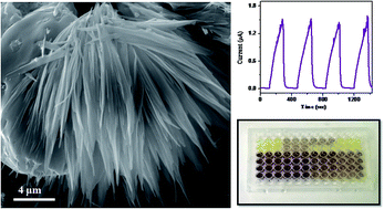 Graphical abstract: TiO2 nanoflowers based humidity sensor and cytotoxic activity