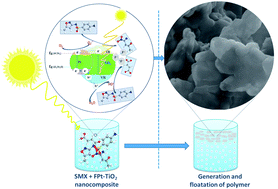 Graphical abstract: Mechanistic pathways for the degradation of SMX drug and floatation of degraded products using F–Pt co-doped TiO2 photocatalysts