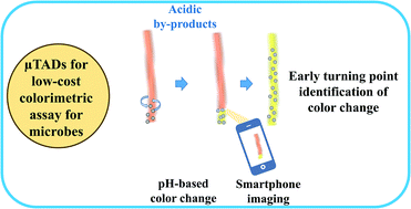 Graphical abstract: Thread integrated smart-phone imaging facilitates early turning point colorimetric assay for microbes