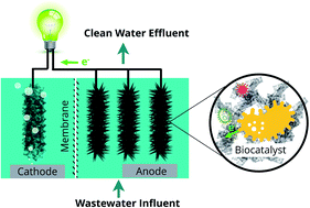 Graphical abstract: Simultaneous wastewater treatment and energy harvesting in microbial fuel cells: an update on the biocatalysts