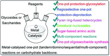 Graphical abstract: One-pot construction of carbohydrate scaffolds mediated by metal catalysts