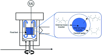 Graphical abstract: Intrinsic kinetic study of 1-butene isomerization over magnesium oxide catalyst via a Berty stationary catalyst basket reactor