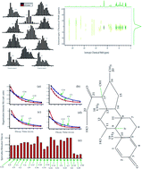 Graphical abstract: Understanding the structure and dynamics of anti-inflammatory corticosteroid dexamethasone by solid state NMR spectroscopy