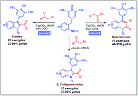 Graphical abstract: One-pot synthesis of indoles and quinolinones from ortho-tosylaminophenyl-substituted para-quinone methides