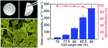 Graphical abstract: A nanocomposite paper comprising calcium silicate hydrate nanosheets and cellulose nanofibers for high-performance water purification