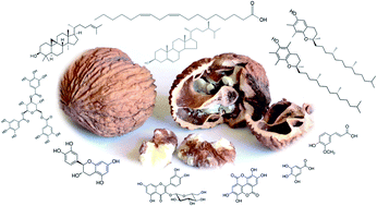 Graphical abstract: An overview of phytochemicals and potential health-promoting properties of black walnut