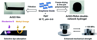 Graphical abstract: Agar-reduced graphene oxide selectively adsorbs organic dyes and strengthens double-network hydrogels