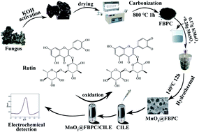 Graphical abstract: A fungus-derived biomass porous carbon–MnO2 nanocomposite-modified electrode for the voltammetric determination of rutin