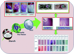 Graphical abstract: Development of starch based intelligent films by incorporating anthocyanins of butterfly pea flower and TiO2 and their applicability as freshness sensors for prawns during storage