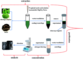 Graphical abstract: Screening of multiclass pesticide residues in maca and Moringa oleifera by a modified QuEChERS sample preparation procedure and UPLC-ESI-MS/MS analysis