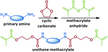 Graphical abstract: Developing non-isocyanate urethane-methacrylate photo-monomers for 3D printing application