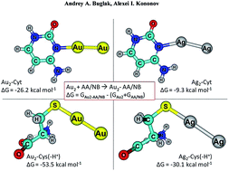 Graphical abstract: Comparative study of gold and silver interactions with amino acids and nucleobases