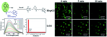 Graphical abstract: A biotin-guided hydrogen sulfide fluorescent probe and its application in living cell imaging