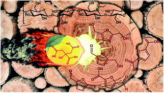 Graphical abstract: Totally green cellulose conversion into bio-oil and cellulose citrate using molten citric acid in an open system: synthesis, characterization and computational investigation of reaction mechanisms