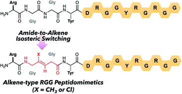 Graphical abstract: Stereoselective synthesis of Gly-Gly-type (E)-methylalkene and (Z)-chloroalkene dipeptide isosteres and their application to 14-mer RGG peptidomimetics