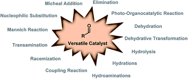Graphical abstract: Aldehyde catalysis – from simple aldehydes to artificial enzymes