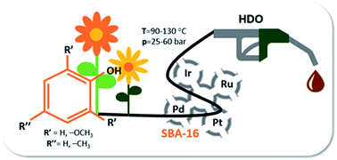 Graphical abstract: Catalytic role of metals supported on SBA-16 in hydrodeoxygenation of chemical compounds derived from biomass processing