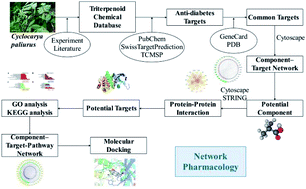 Graphical abstract: Network pharmacology-based study of the mechanisms of action of anti-diabetic triterpenoids from Cyclocarya paliurus