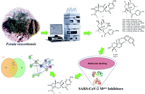 Graphical abstract: Carotane sesquiterpenes from Ferula vesceritensis: in silico analysis as SARS-CoV-2 binding inhibitors