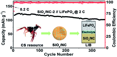 Graphical abstract: Micron-sized SiOx/N-doped carbon composite spheres fabricated with biomass chitosan for high-performance lithium-ion battery anodes