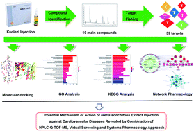 Graphical abstract: Potential mechanism of action of Ixeris sonchifolia extract injection against cardiovascular diseases revealed by combination of HPLC-Q-TOF-MS, virtual screening and systems pharmacology approach