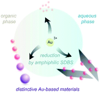 Graphical abstract: Reduction of Au3+ to distinctive Au-based materials by amphiphilic sodium dodecylbenzenesulfonate
