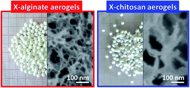 Graphical abstract: Polyurea-crosslinked biopolymer aerogel beads