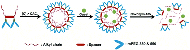 Graphical abstract: Oligo-glycerol based non-ionic amphiphilic nanocarriers for lipase mediated controlled drug release