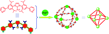 Graphical abstract: Confinement of a Au–N-heterocyclic carbene in a Pd6L12 metal–organic cage