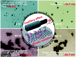 Graphical abstract: Coordinating capillary infiltration with anodic oxidation: a multi-functional strategy for electrochemical fabrication of graphene