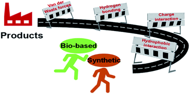 Graphical abstract: Interaction of synthetic and lignin-based sulfonated polymers with hydrophilic, hydrophobic, and charged self-assembled monolayers