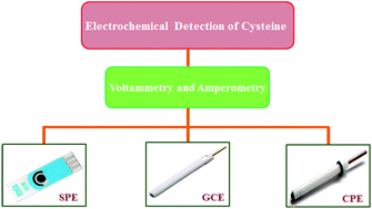 Graphical abstract: Recent developments in voltammetric and amperometric sensors for cysteine detection
