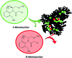 Graphical abstract: Study of enantioselective metolachlor adsorption by activated carbons
