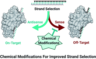 Graphical abstract: Chemical strategies for strand selection in short-interfering RNAs