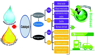 Graphical abstract: Widely used catalysts in biodiesel production: a review