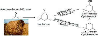 Graphical abstract: Study on the selective hydrogenation of isophorone