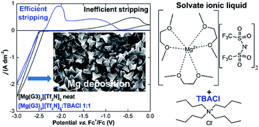 Graphical abstract: Reversible electrodeposition and stripping of magnesium from solvate ionic liquid–tetrabutylammonium chloride mixtures