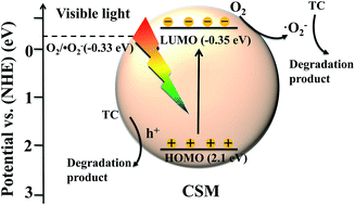 Graphical abstract: Facile synthesis of chitosan membranes for visible-light-driven photocatalytic degradation of tetracycline hydrochloride