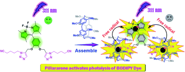 Graphical abstract: Photolysis of the BODIPY dye activated by pillar[5]arene