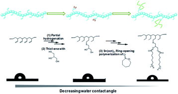 Graphical abstract: Preparation of functionalized poly(1-butene) from 1,2-polybutadiene via sequential thiol-ene click reaction and ring-opening polymerization