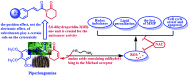 Graphical abstract: The potential role of the 5,6-dihydropyridin-2(1H)-one unit of piperlongumine on the anticancer activity