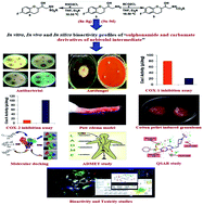 Graphical abstract: Design, synthesis, characterization and in vitro, in vivo and in silico antimicrobial and antiinflammatory activities of a new series of sulphonamide and carbamate derivatives of a nebivolol intermediate
