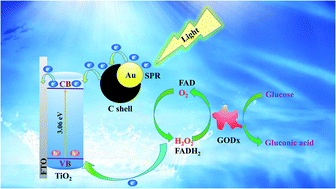 Graphical abstract: Photoelectrochemical enzymatic sensor for glucose based on Au@C/TiO2 nanorod arrays