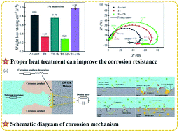 Graphical abstract: Effect of heat treatment on corrosion behavior of Mg–5Gd–3Y–0.5Zr alloy